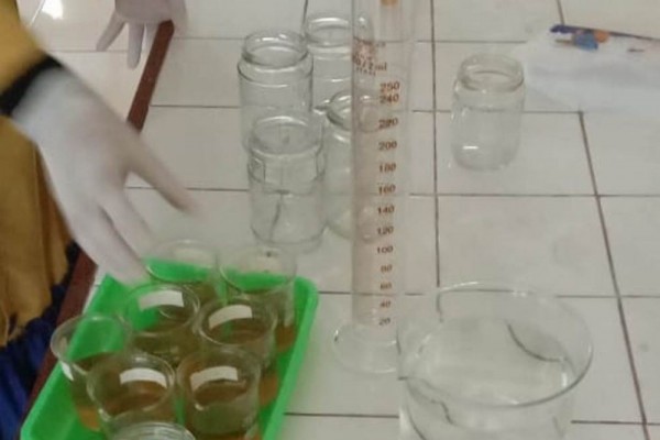 Mahasiswa UNY Manfaatkan Limbah Pisang Ambon untuk Bahan Tepung Pektin