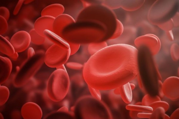 7 Gejala Hemofilia atau Gangguan Pembekuan Darah