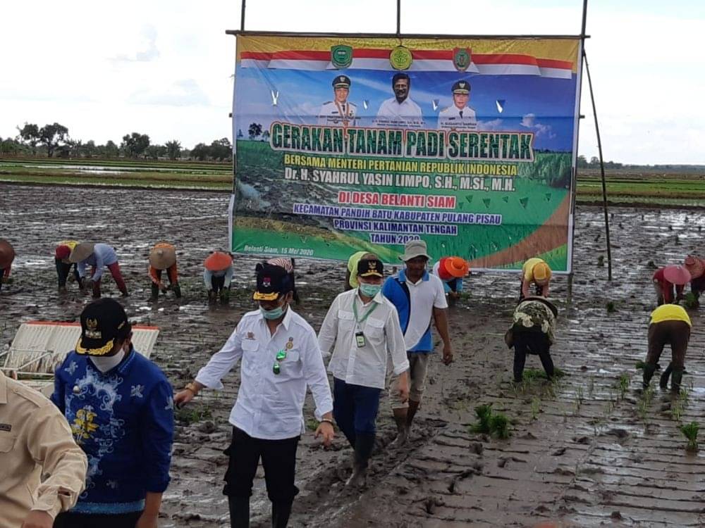 Mentan: Optimasi Lahan Rawa Jawaban Bagi Ketersediaan Pangan Indonesia