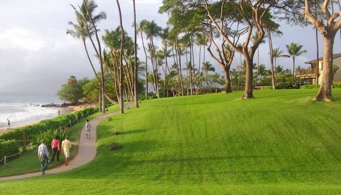 9 Jalan Setapak dengan Pemandangan