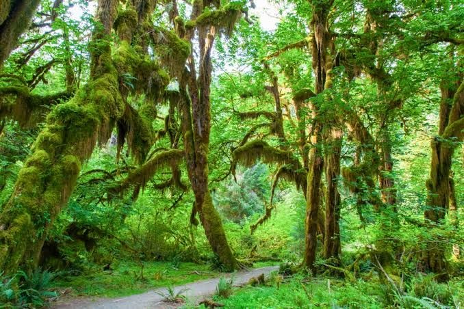 9 Jalan Setapak dengan Pemandangan