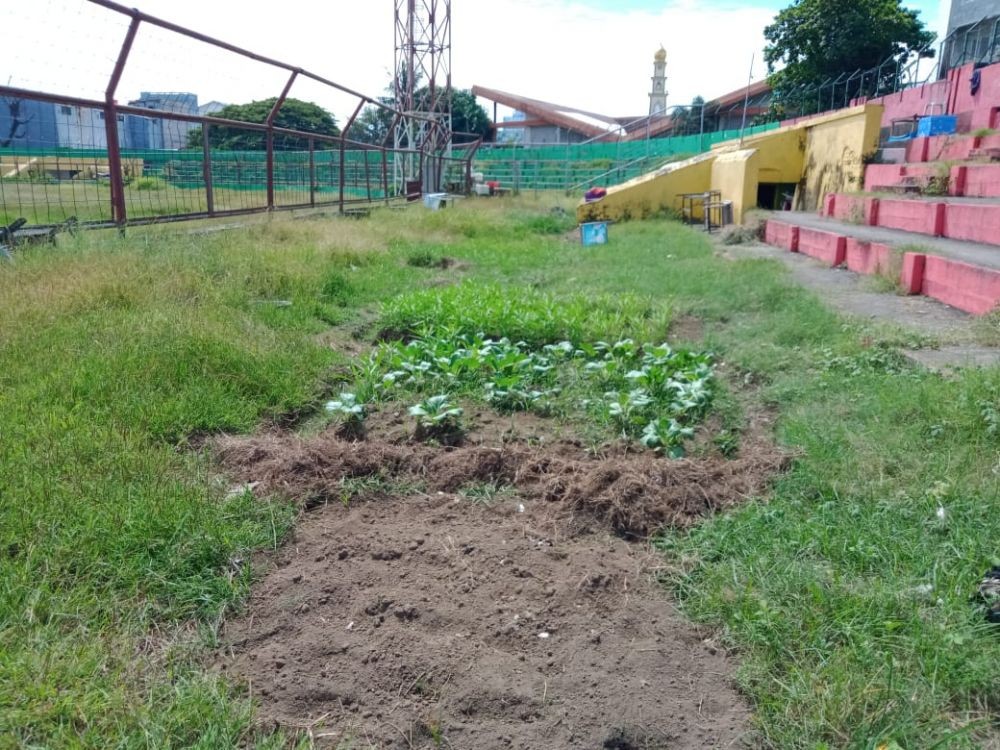 Viral Kondisi Stadion Mattoanging Makassar Jadi Lahan Kebun Sayur
