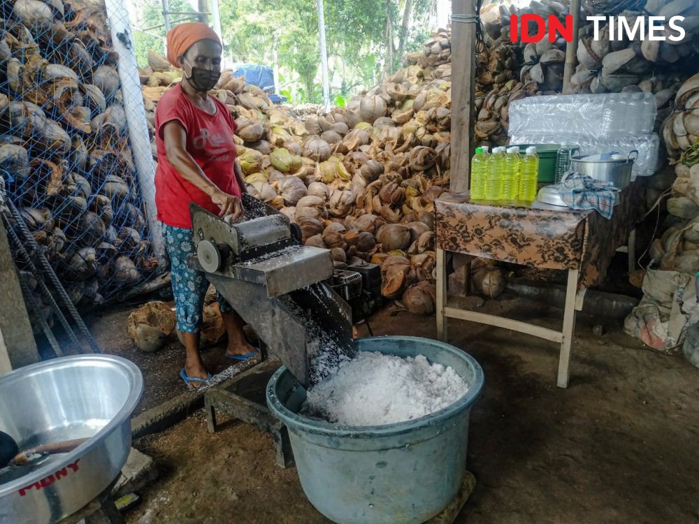 5 Potret Pembuatan Minyak Kelapa Khas Desa Sulang Klungkung