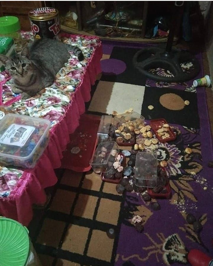 Bikin Ngelus Dada, 10 Potret Kocak Saat Silaturahmi Lebaran