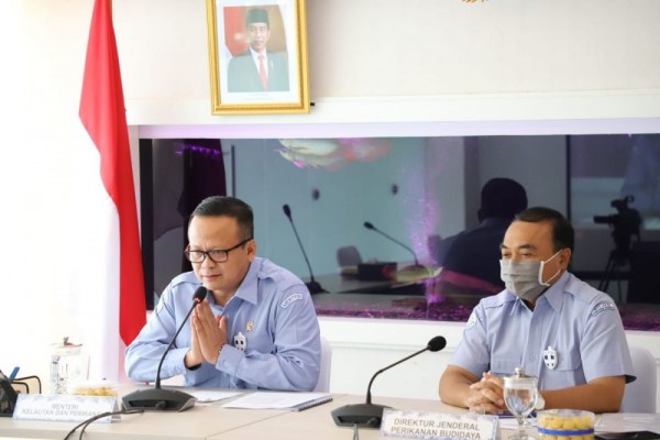 Diciduk KPK, Edhy Prabowo Pernah Bilang Siap Diaudit soal Baby Lobster