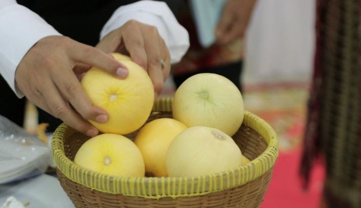 Diinisiasi Sejak Tahun 1997, UGM akhirnya Miliki Hak Paten 2 Melon  