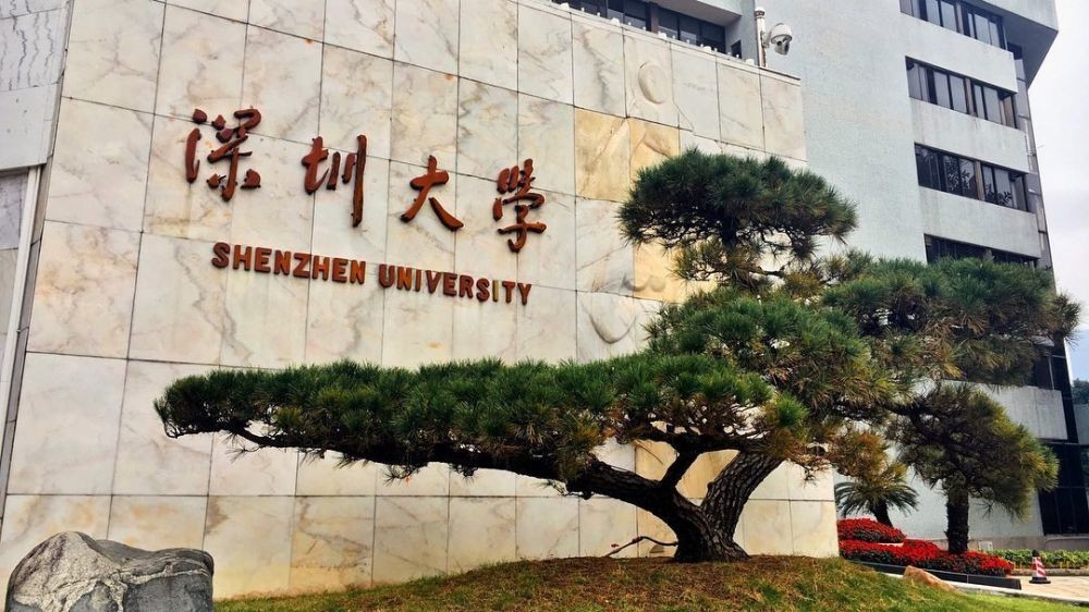 Shenzhen university