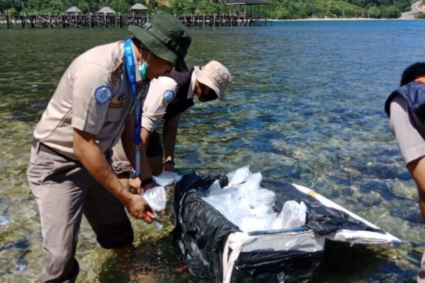 Panen Kritikan Ekspor Benih Lobster, Edhy: Saya Tidak Antikritik
