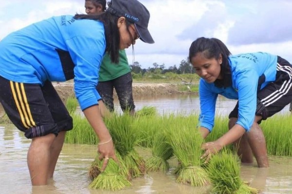 Gelar Konsilidasi Tim,YESS BPPSDMP Siap Cetak Entrepreneur Pertanian