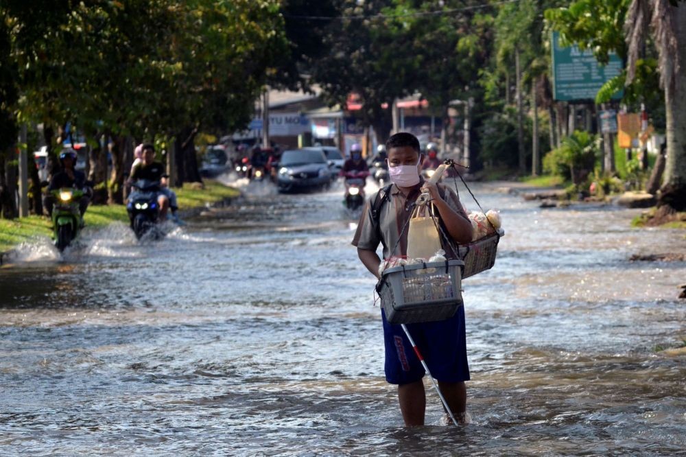 Musim Hujan, Warga Makassar Diingatkan Bahaya Pohon Tumbang