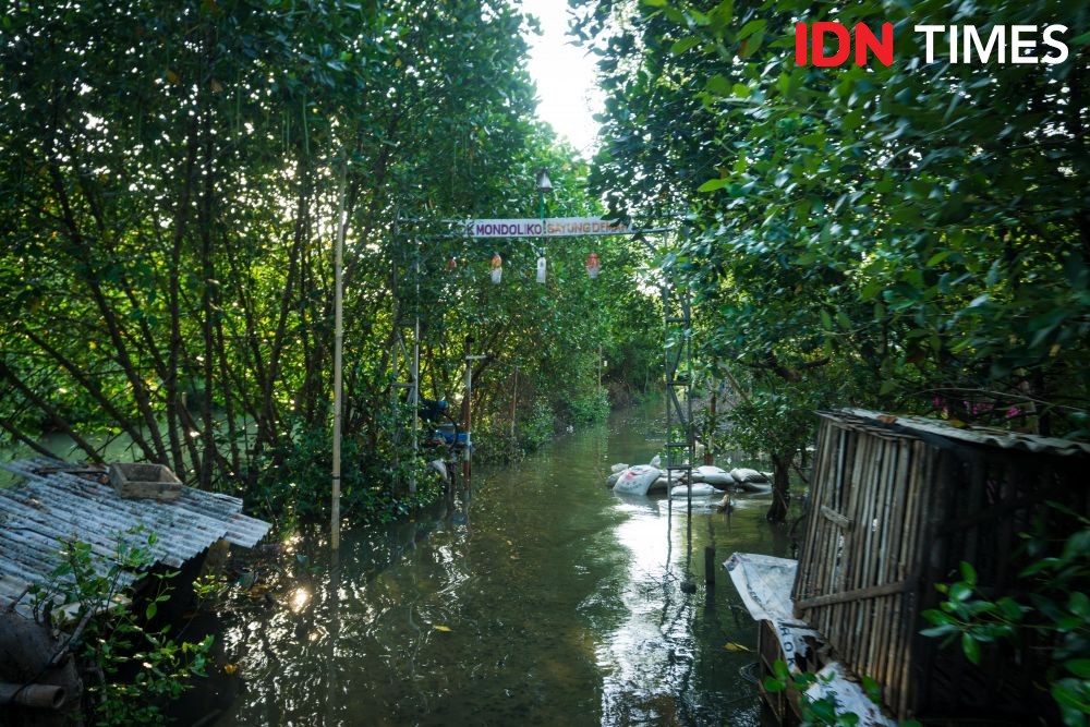 Bulan Purnama, Pesisir Semarang Bakal Diterjang Banjir Setinggi Betis