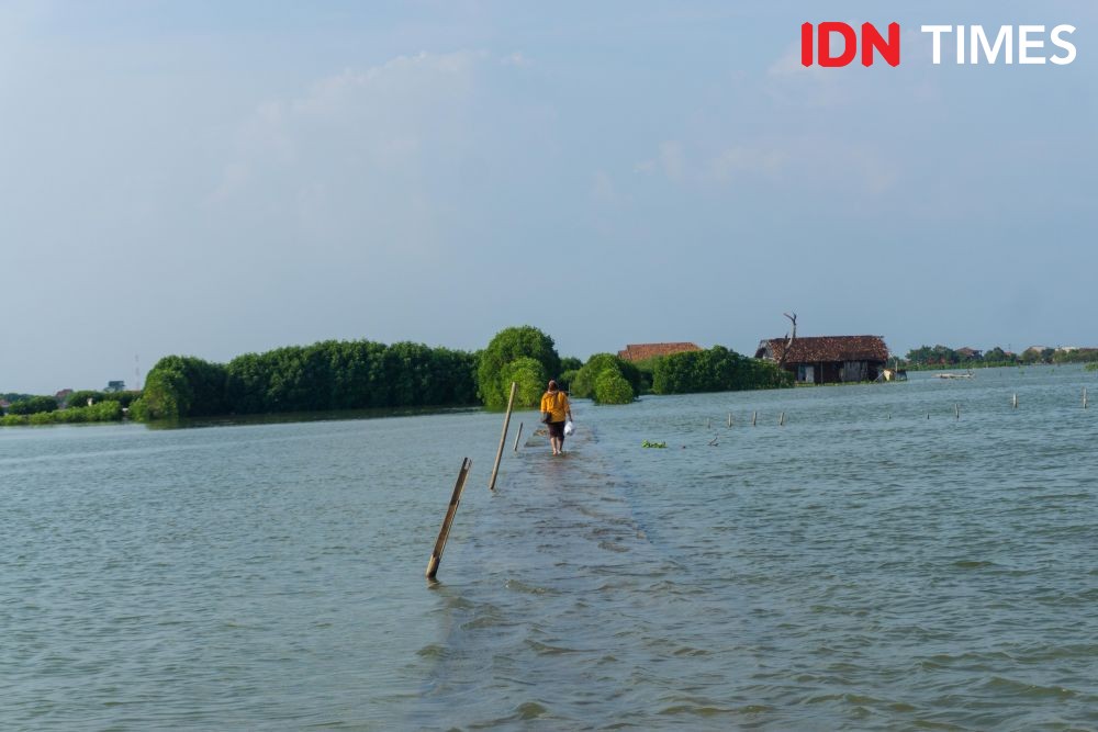 Warga Jateng! Waspadai Banjir Rob 1 Meter saat Akhir Tahun