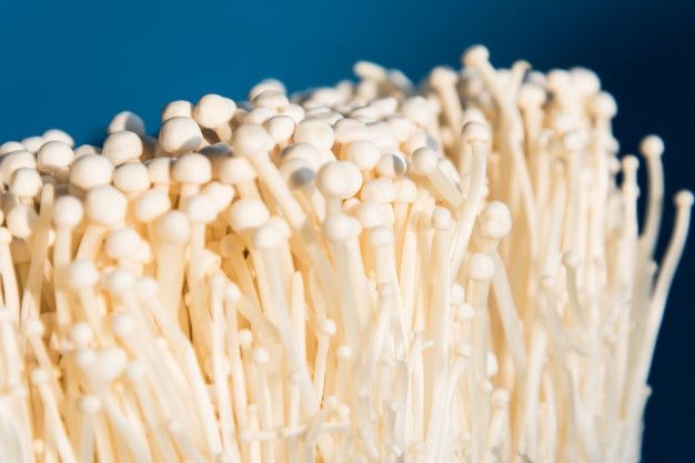 9 Fakta Spesifik soal Jamur Enoki yang Terkandung Bakteri Listeria