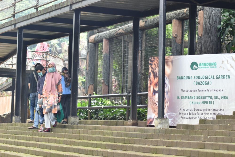 Libur Panjang, Kebun Binatang Bandung Targetkan 6.000 Wisatawan