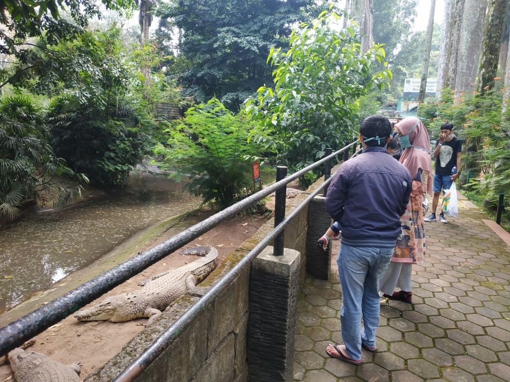 PSBB Dihentikan, Ratusan Orang Mulai Wisata di Kebun Bintang Bandung