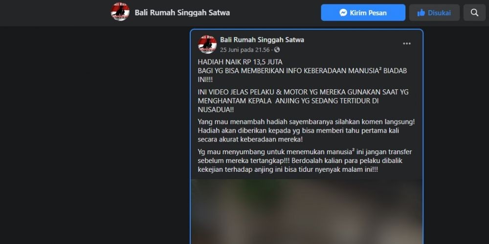 Heboh Anjing Dipukul Pakai Kayu Balok di Bali