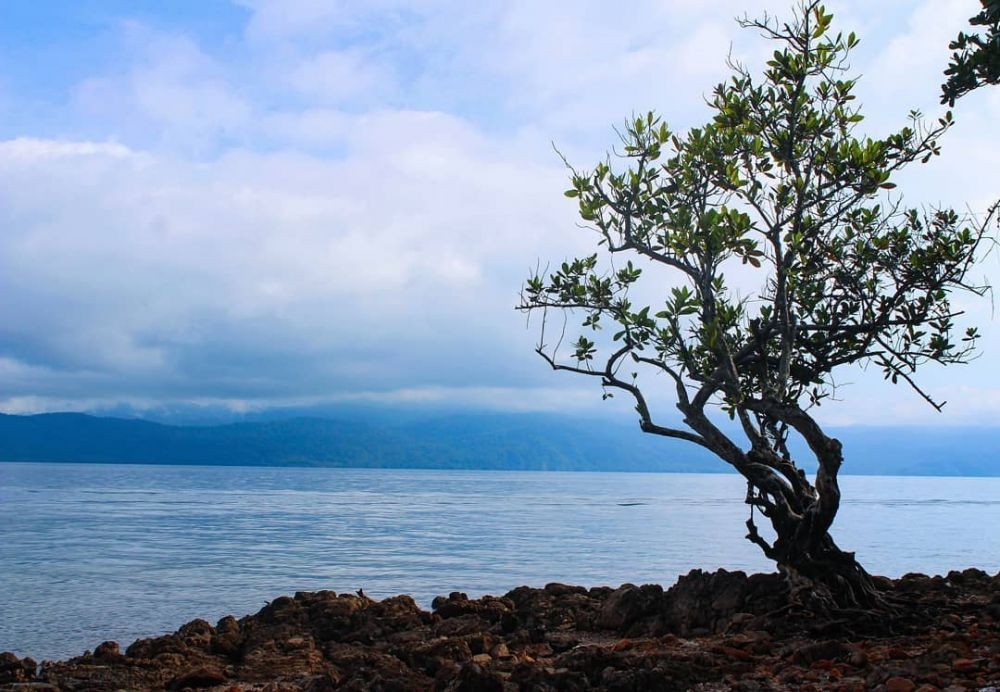Selain Toba, Ini 10 Danau Terbesar yang Ada di Indonesia, Sudah Tahu?