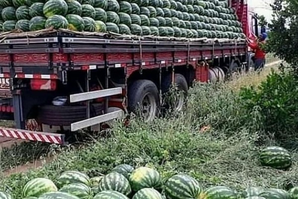 Coba Teliti, Kamu Bakal Paham Ada yang Kocak di 10 Potret Ini