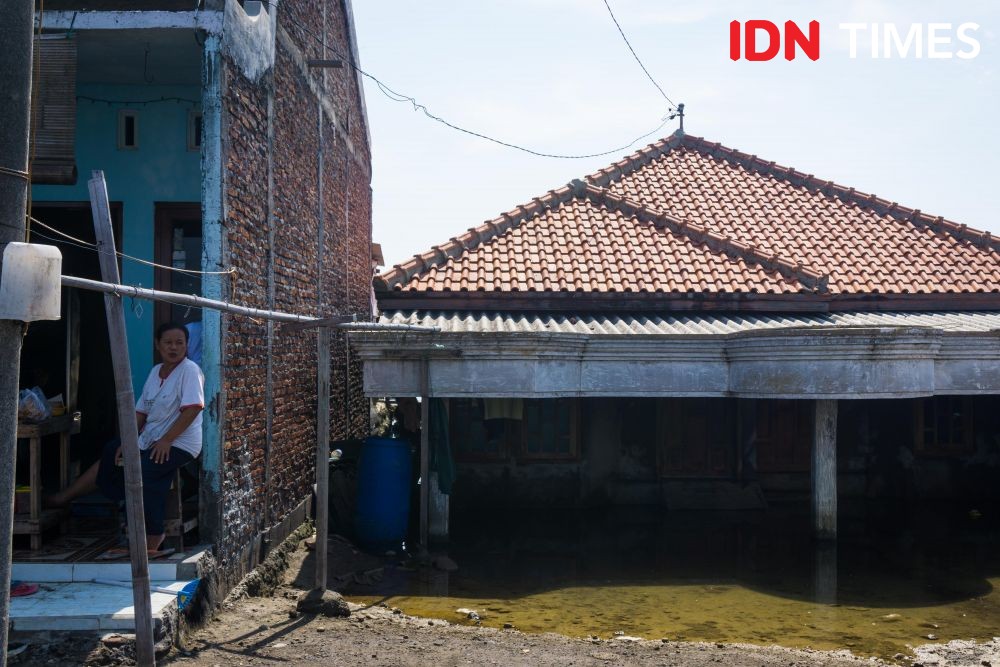 [FOTO] Kala Seniman Demak Pentas di Daerah Tenggelam akibat Banjir Rob