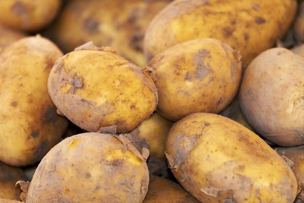 Biar Awet dan Gak Cepat Busuk, 10 Tips Menyimpan Bawang Merah