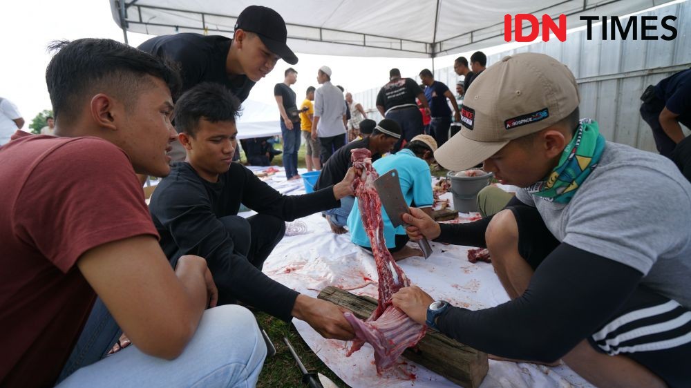 Mulai Besok, DKPP Surabaya Terjunkan Tim Pemeriksa Hewan Kurban