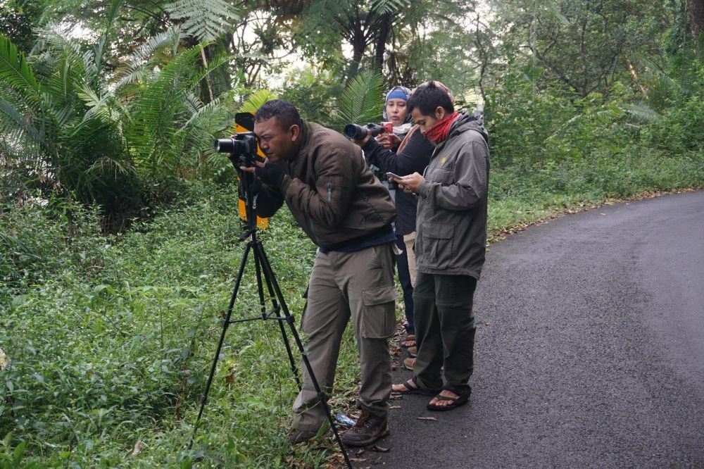 Puluhan Owa Jawa yang Terancam Punah Berkembangbiak di Petungkriyono