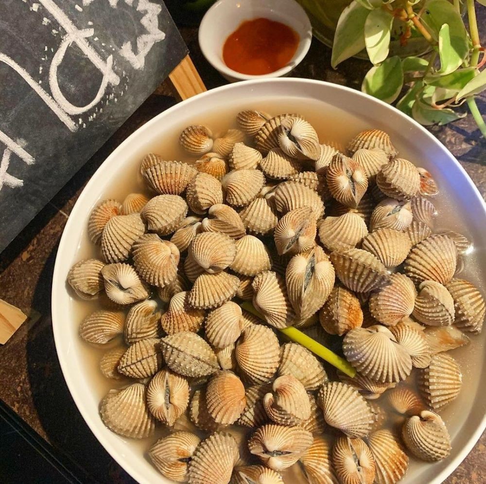 Resep Kerang Dara Rebus Begini Cara Bikinnya Biar Sedap