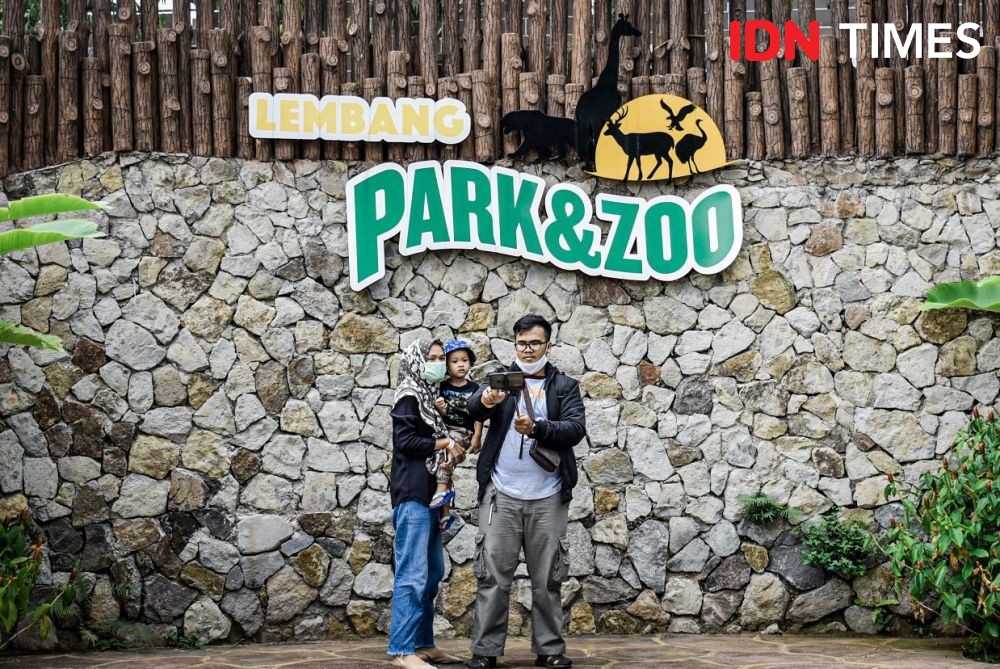 Lucu! Dua Bayi Binturong Lahir saat Pandemik di Lembang Zoo 