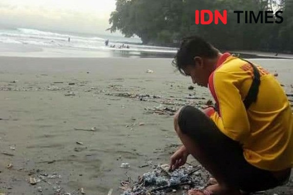 Ubur-ubur Beracun Serang Wisatawan di Pantai Batukaras Pangandaran