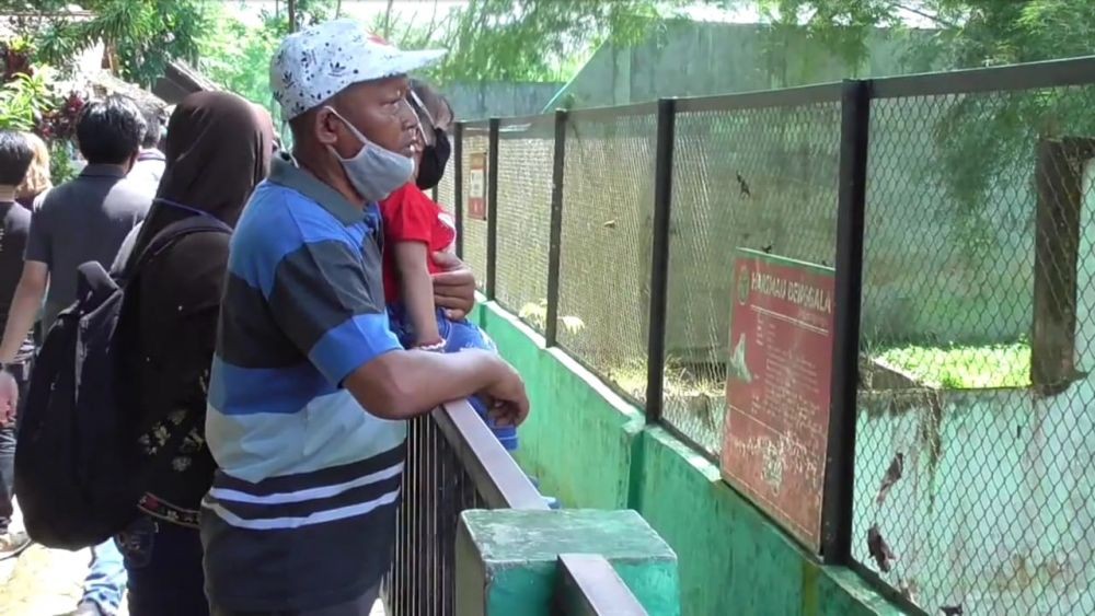 Hari Pertama Dibuka saat Pandemik, Begini Suasana di Medan Zoo