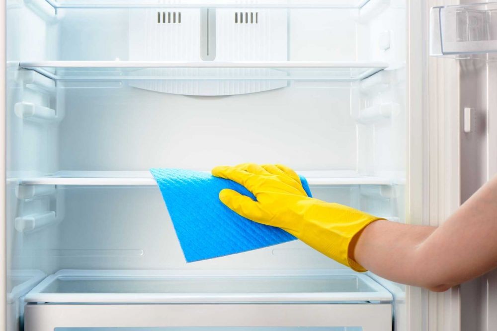 5 Tips Mencairkan Bunga Es di Freezer, Mudah Banget!