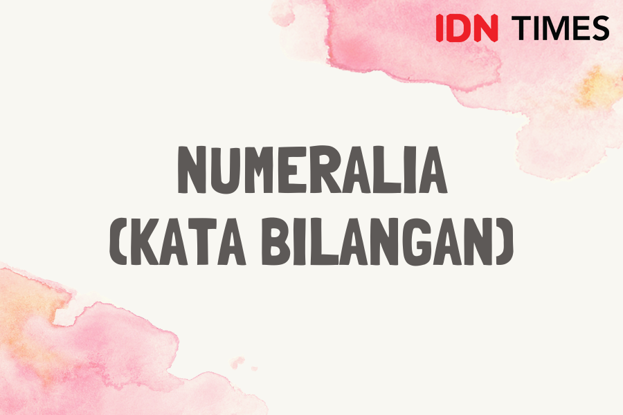 6 Macam Kelas Kata Dalam Bahasa Indonesia Ada Nomina Dan Pronomina
