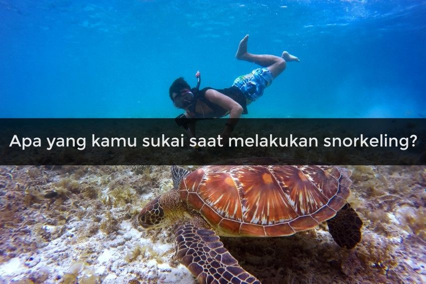 [QUIZ] Cek Lokasi Snorkeling di Indonesia yang Cocok buatmu di Sini!