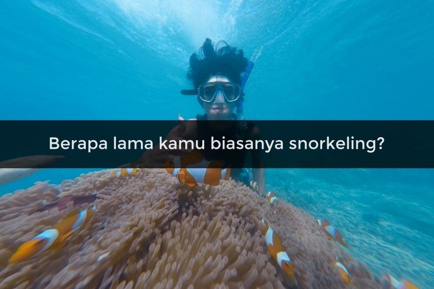 [QUIZ] Cek Lokasi Snorkeling di Indonesia yang Cocok buatmu di Sini!