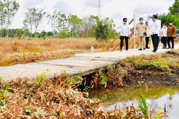 Jokowi Sebut Beras RI Rata-rata Rp10.700 per Kilogram