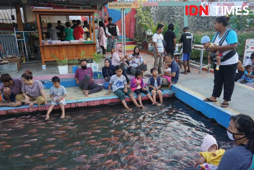 Dinas Perikanan DIY Larang Warga Tebar Ikan Lele dan Nila di Selokan
