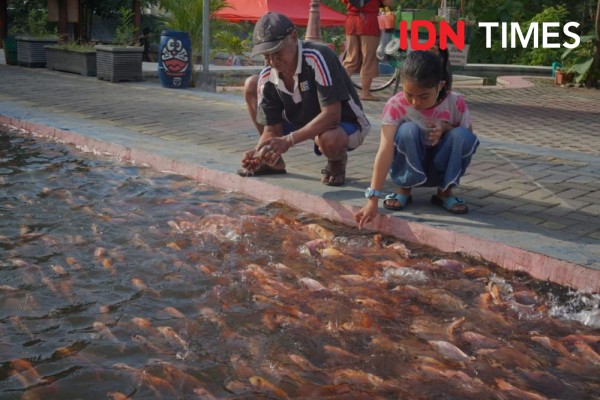 Dinas Perikanan DIY Larang Warga Tebar Ikan Lele dan Nila di Selokan