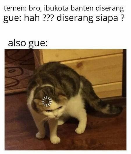 Bingung Sebelum Tahu Jawabannya 10 Meme Telat Mikir Ini Kocak Parah