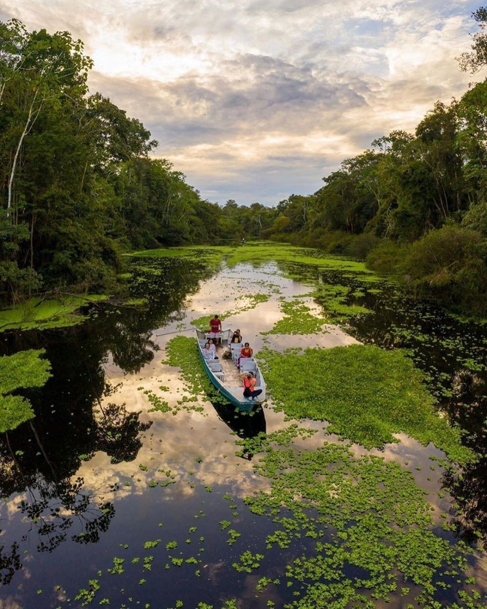 Berani Coba? Ini 10 Hutan Paling Angker di Dunia