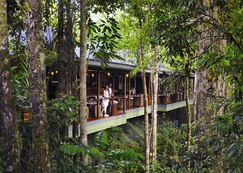 10 Hotel di Dunia yang Lokasinya di Tengah Hutan, Indonesia Juga Punya