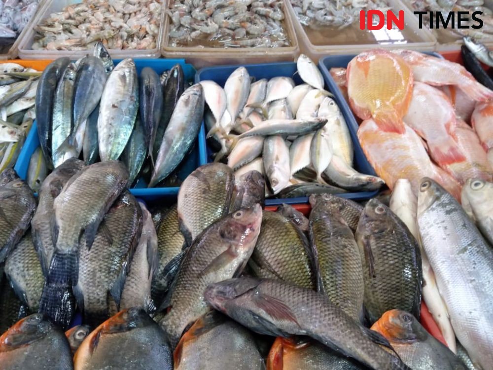 BKIPM Berikan Seribu Paket Ikan Segar untuk Warga Balikpapan