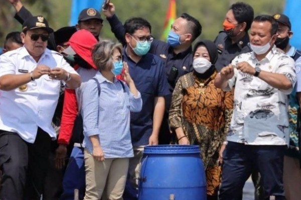 Menteri KKP: Udang Vaname Lampung Diminati Pasar Dunia