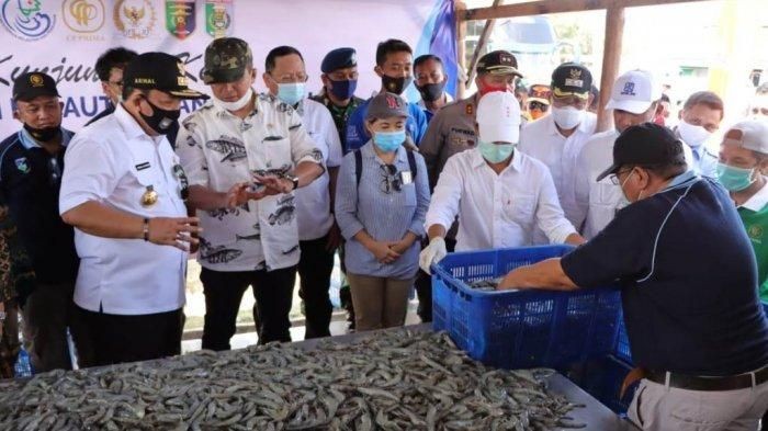 Menteri KKP: Udang Vaname Lampung Diminati Pasar Dunia