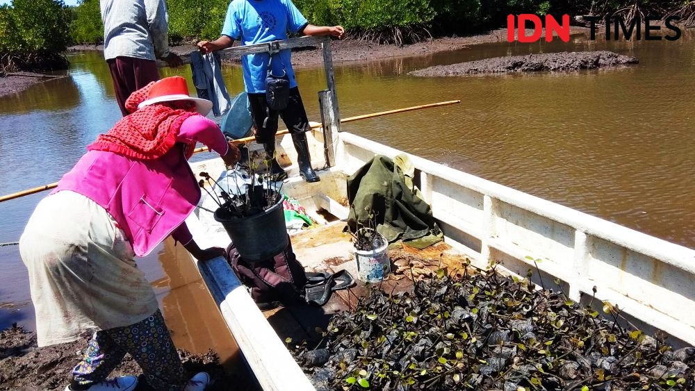 Nelayan Gorontalo Beralih Jadi Buruh Tanam Mangrove di Masa Pademik
