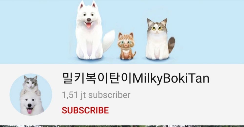 5 Channel YouTube yang Bintang Utamanya Kucing, Hati-hati Gemas Guys!