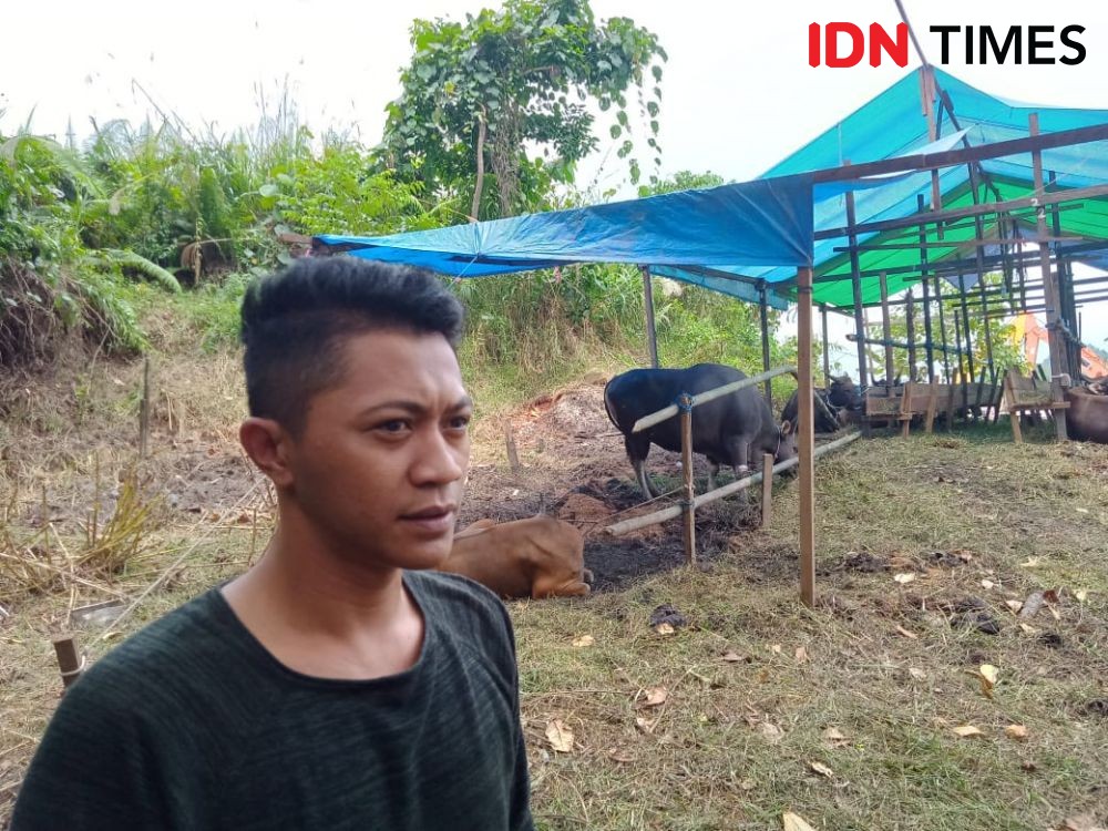 Jelang Iduladha, Penjualan Hewan Kurban di Samarinda Masih Sepi