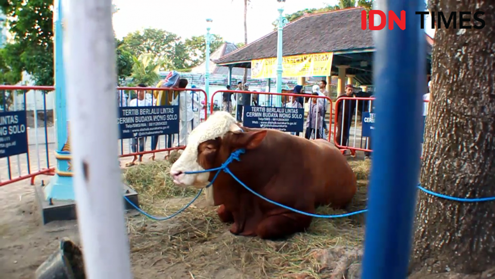 Cegah Kerumunan Warga, Masjid Raya Bandung Potong Hewan Kurban di RPH