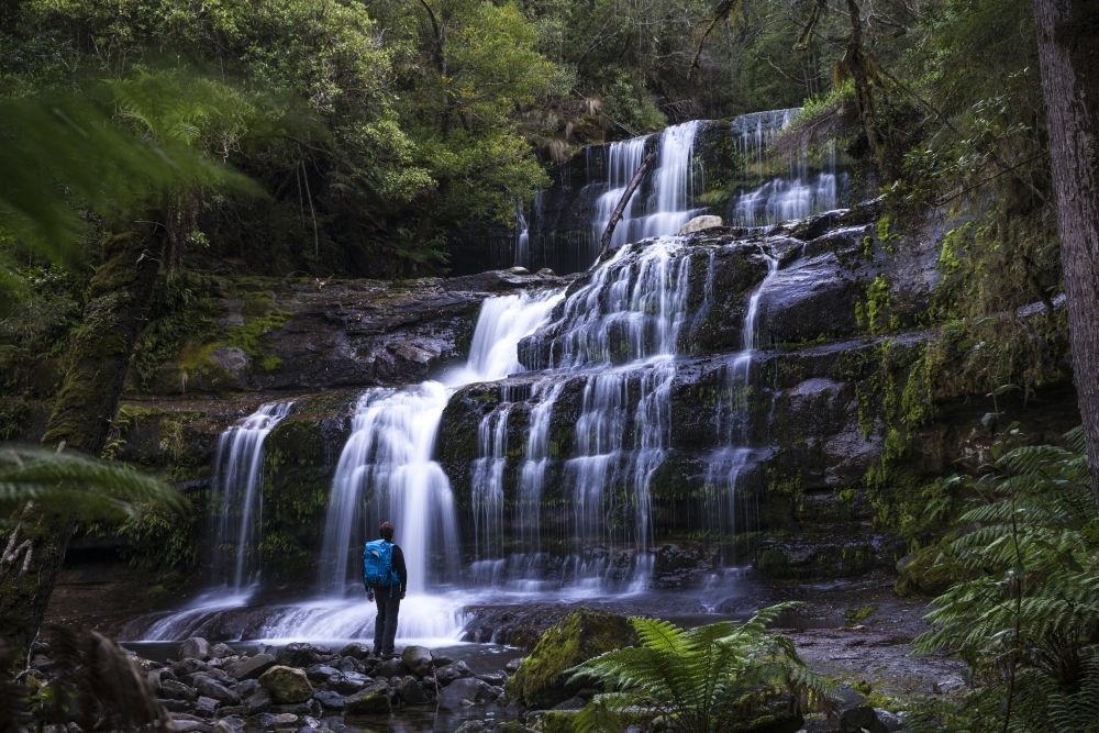 5 Alasan Australia Cocok Jadi Destinasi Liburanmu Selanjutnya!