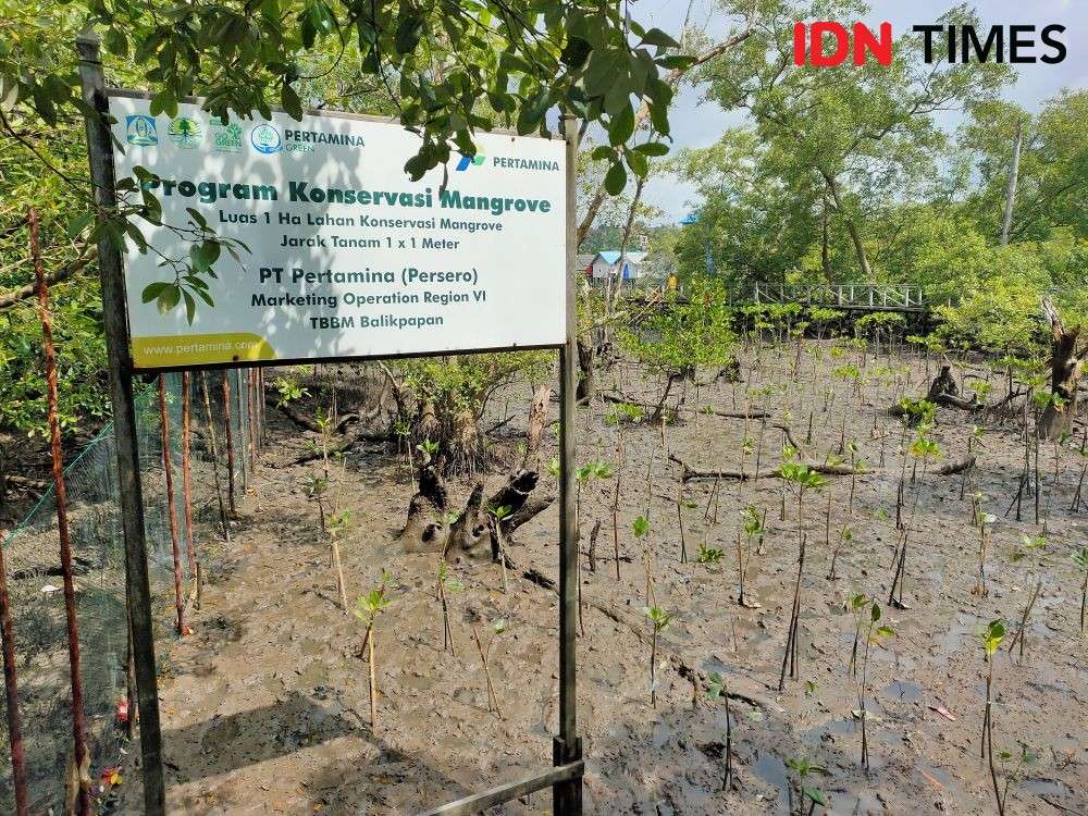 AS-Indonesia Bidik Kerja Sama Konservasi Hutan