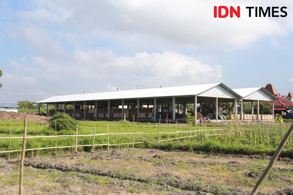 TOSS Centre Klungkung Akan Budidaya Ikan, Pangannya Pakai Sisa Sampah